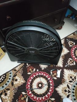 Fan