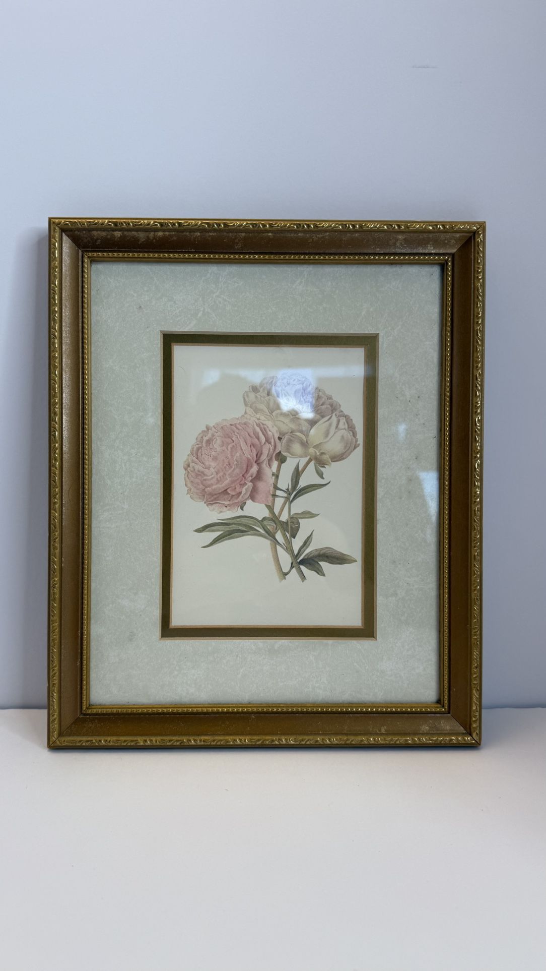 Vintage Botanical Print Peony Flowers in Gold Frame Wall Art