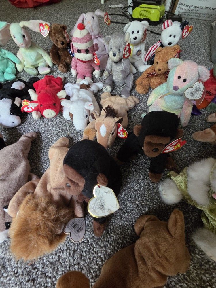 TY Beanie Babies