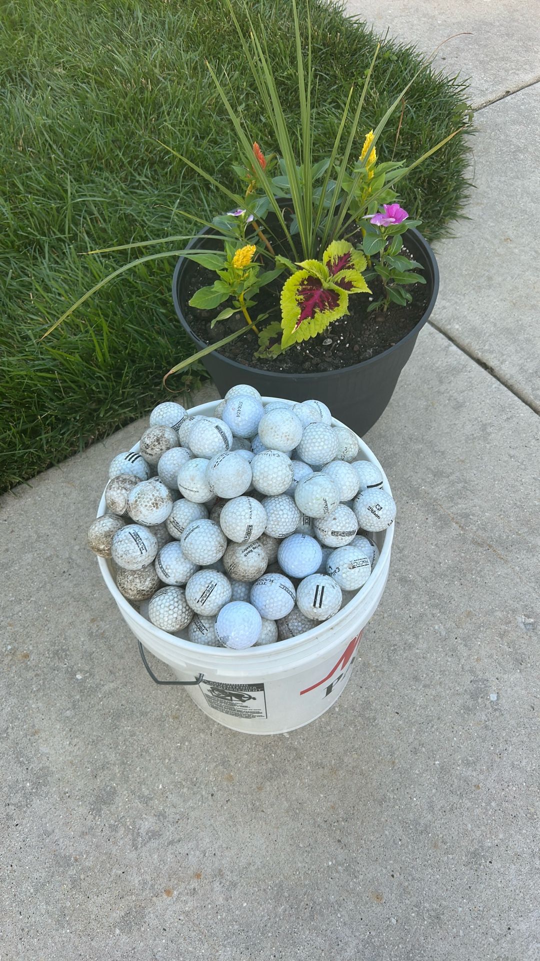 351 Golf Balls.