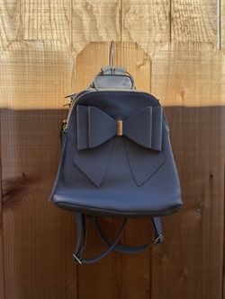 Backup/ Purse
