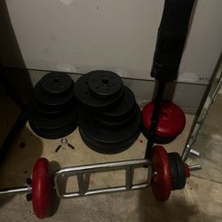 Weights, Bench And Bar 