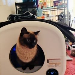 Automatic Litter Box 