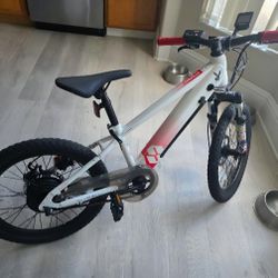 Electric Bike