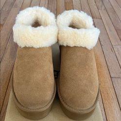 Bearpaw