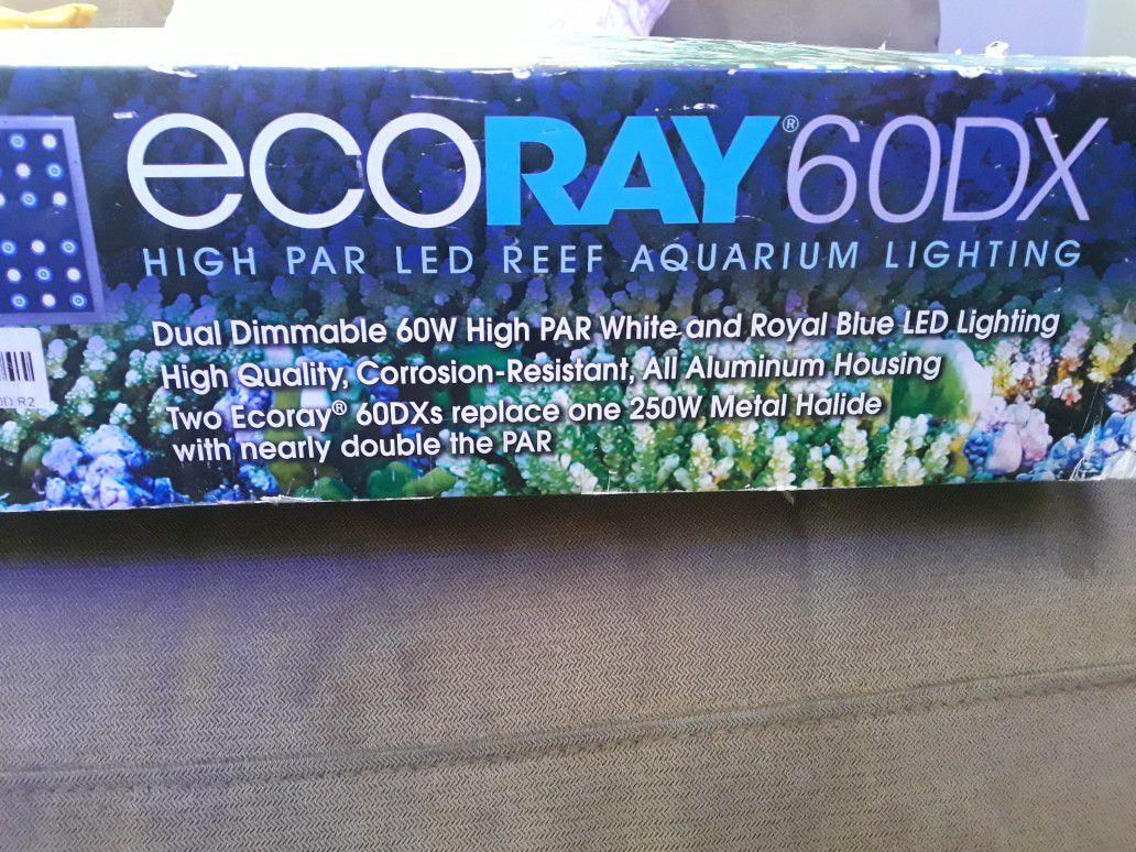 Ecoray 60
