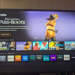 Vizio  Smart TV