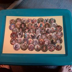 50 Ct. Kitty Stickers Round Life Like