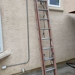 extension Ladder 