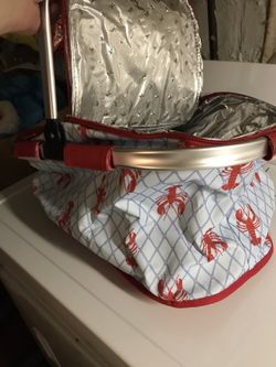Insulated picnic bag never used