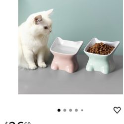Cat Bowl 