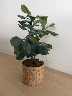 Large Faux Fiddle Leaf Fig Tree + Woven Basket