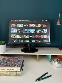 ACER 22 Inch Display - New 