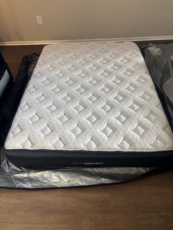 Helix Lux Midnight Queen (Open Box & Free Delivery Available)