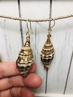 Natural spiral gold plated shell earrings!