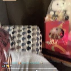 Moving Out Of State Many Items 