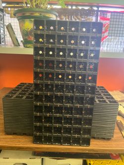 Seedling trays
