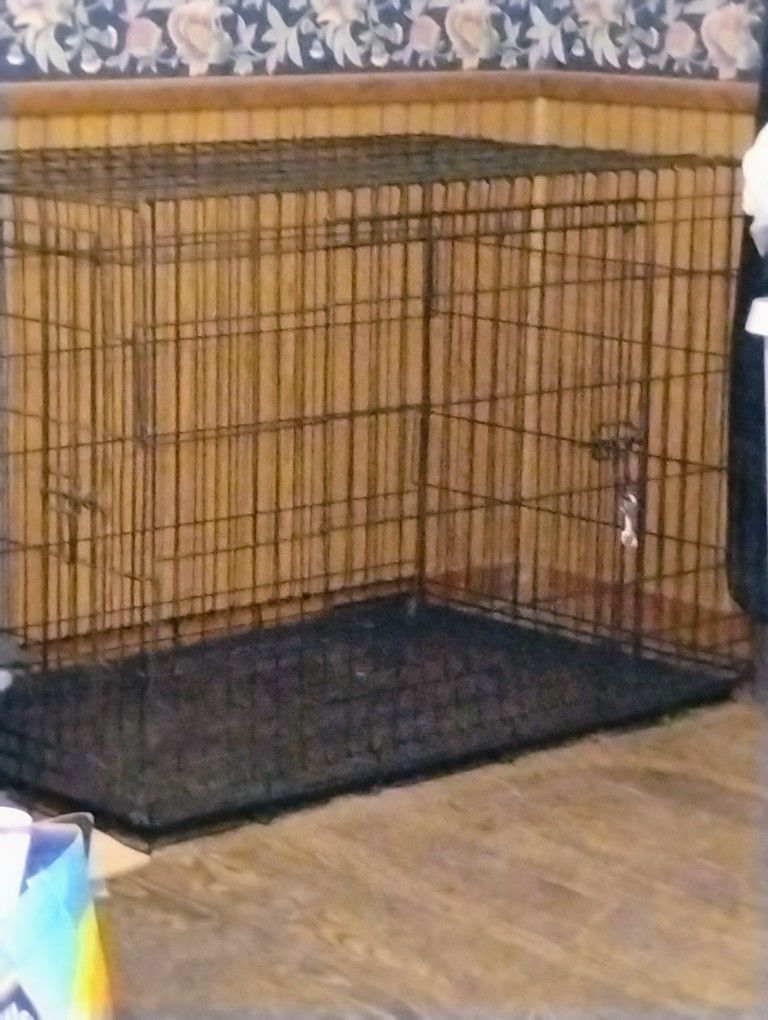 Precision Dog Kennel  Xlarge 