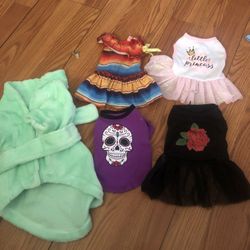 Ropa Para  Gatita 
