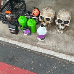 Halloween Supplies Skulls And More 