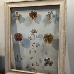 Framed Pressed Flowers
