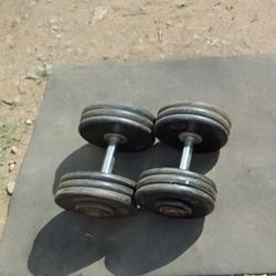  Dumbbells 2x65lbs