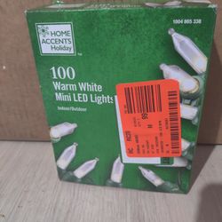 100 Warm White Mini LED Lights
