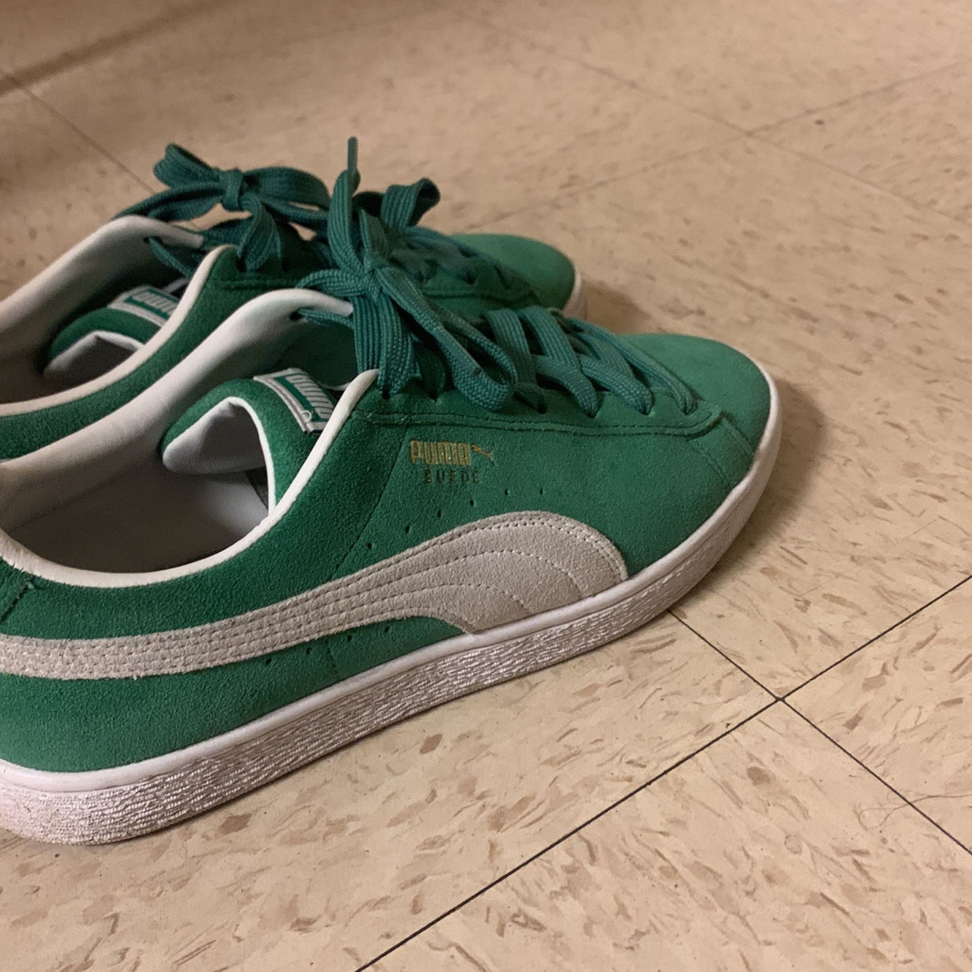 Pumas