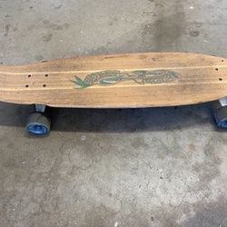 Sector 9 Long Board Skateboard
