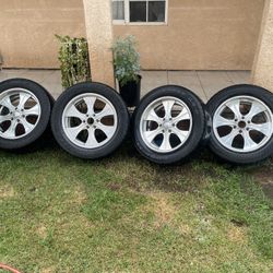 20” Boyd Coddingtons