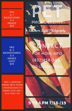 ****Pet Photography Today ****