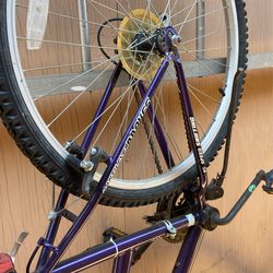 Magna 15speed Shifting Bicycle Purple Color