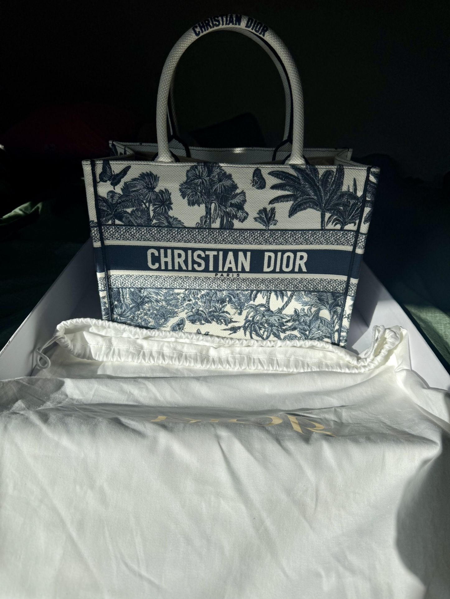 Christian Dior Tote Bag