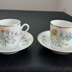 richard ginori 1735 Italy espresso cups porcelain 2 cups 2 saucers vintage collectible  In great condition 