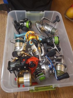 Meni reels