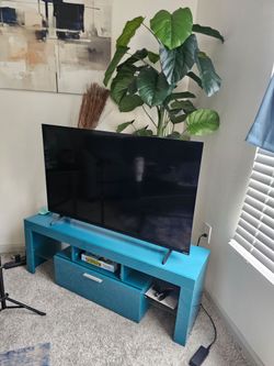 Moving Out Everything Must Go- 55 in Vizio TV with LED multi color Lights
