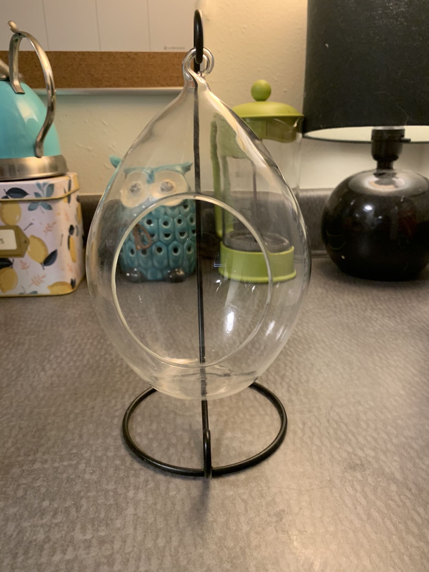 Hanging Air Plant or Succulent Terrarium with Stand