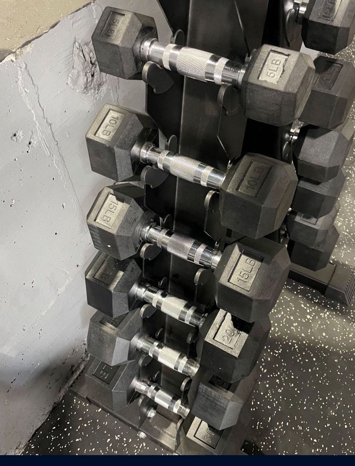 Dumbbell set With A Rack- Set Of Dumbbells And Rack