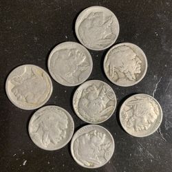 (8) Buffalo Nickels