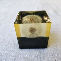 Vintage 1960s  MCM Dandelion Resin Art Paperweight