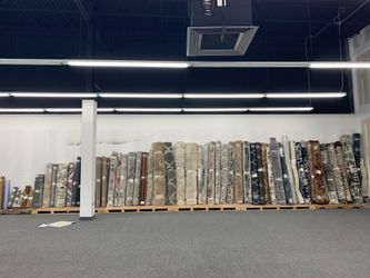 Indoor/ Outdoor Rugs