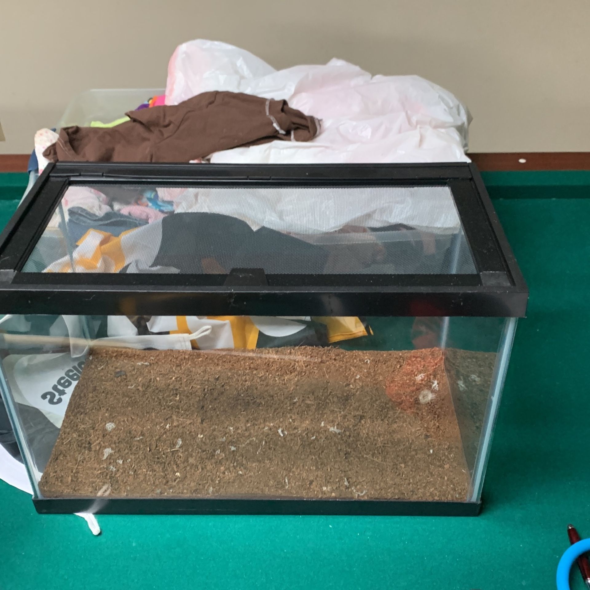 10 Gallon Reptile Tank In Good Condition 20$