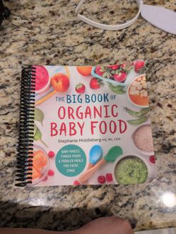 The Big Book of Organic Baby Food