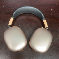 Apple Headphones