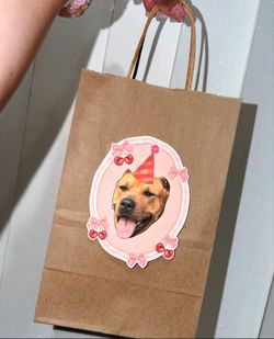 Party bags