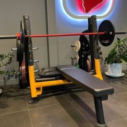 Matrix commercial grade bench press with moveable arms, safety spotter, weight horns gym equipment