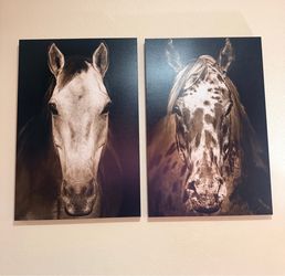 “Paint Horse” Canvas Large Wall Art (30x45)