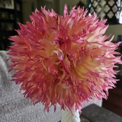 Dahlia Tubers