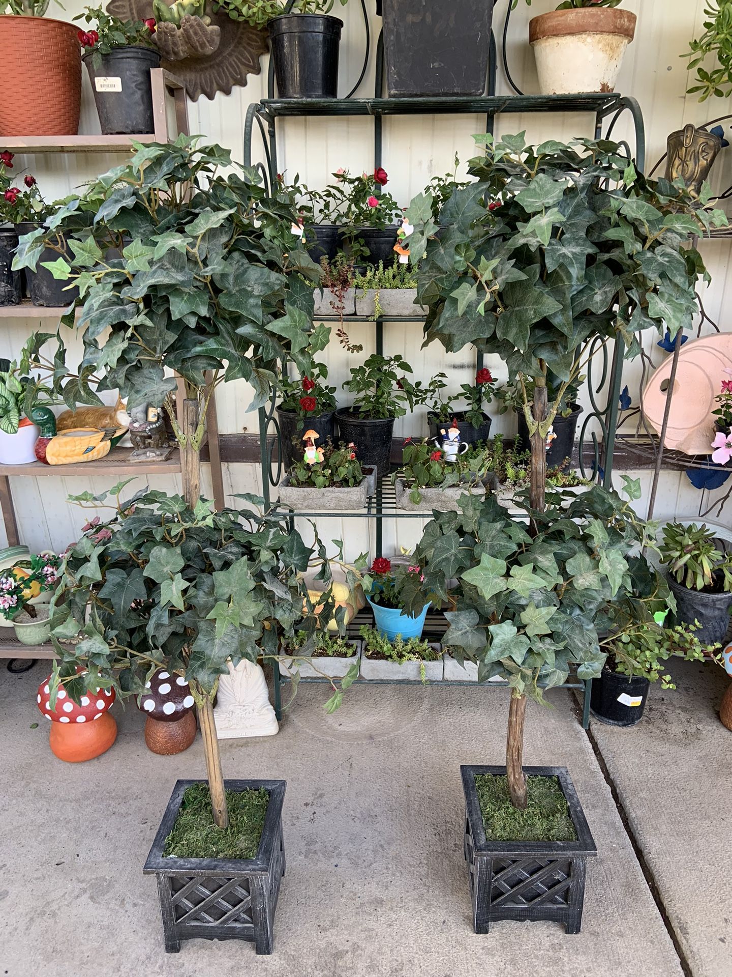 4 ft tall $60