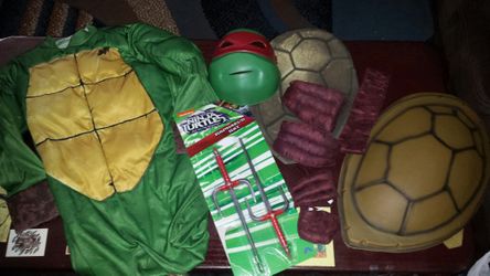 Ninja Turtle Custom